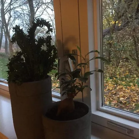 Gammelgard * Børkop